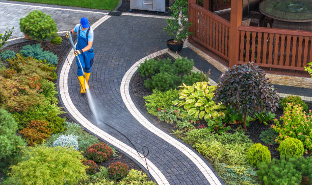 Best Local Pressure Washing Services  in Tunkhannock, PA